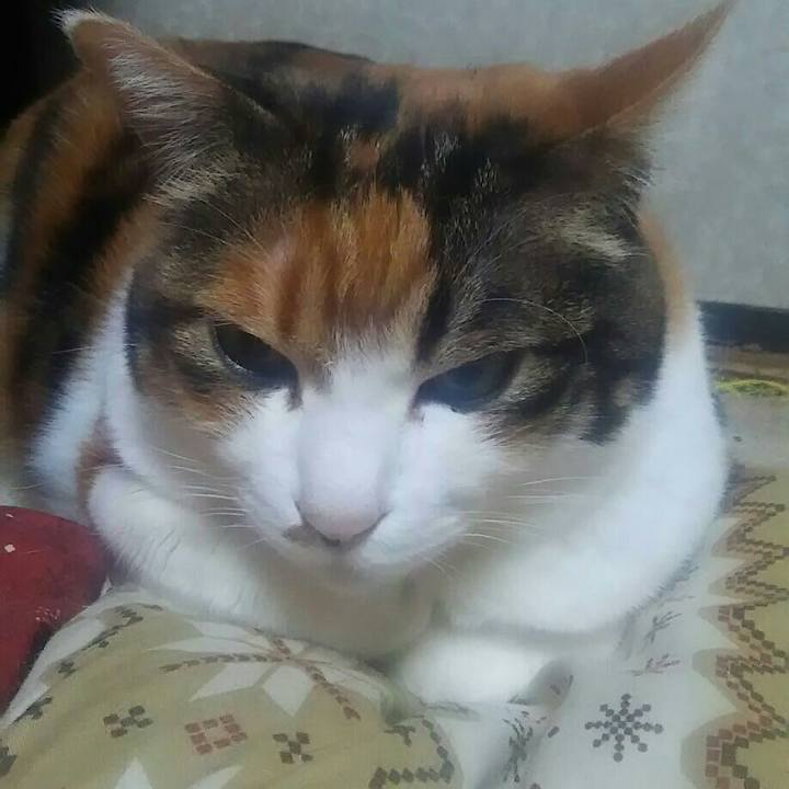 704603a3 bc48 4db8 a29c 76c26734df78