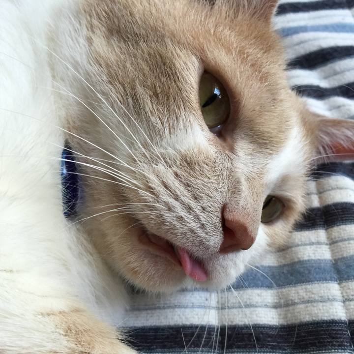 70463f43 b2d1 4d04 9495 e8c9dc26bc3d