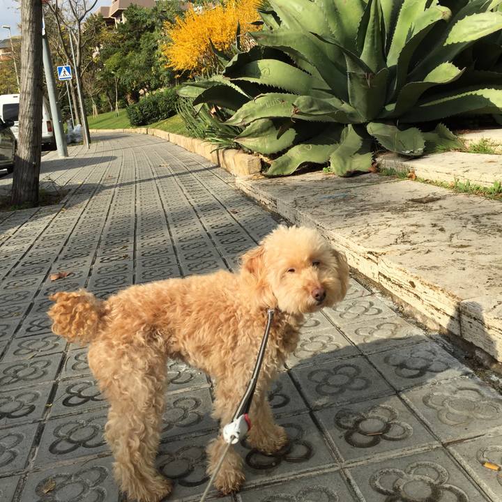 70466afc ab5c 4d8a b509 1529f2b96da4