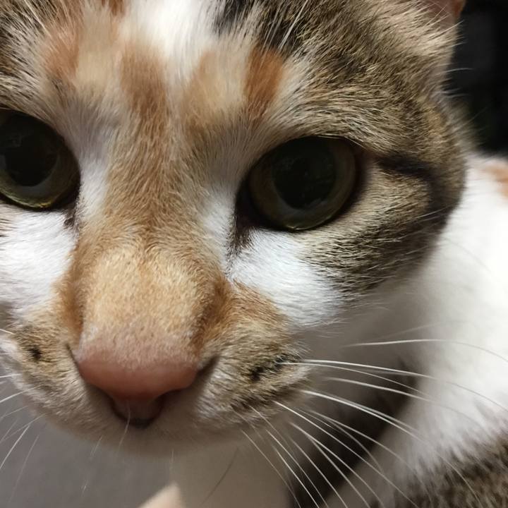 7046c7bd 93ee 4d5a 85aa 67726599669d