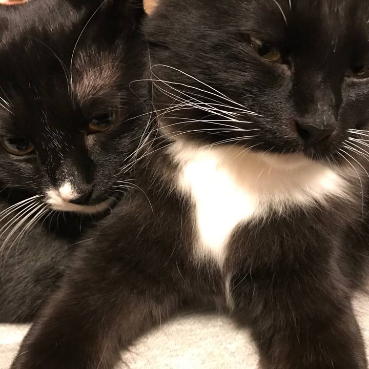 704737d9 c0fd 4927 83c8 2b0cc07305eb