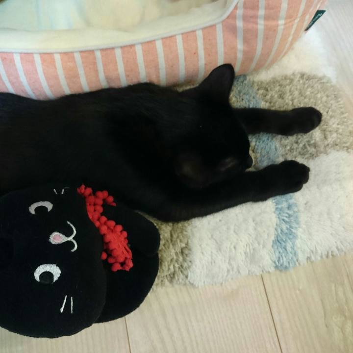 7048830a e1b3 415e 874a 7463234b06f4