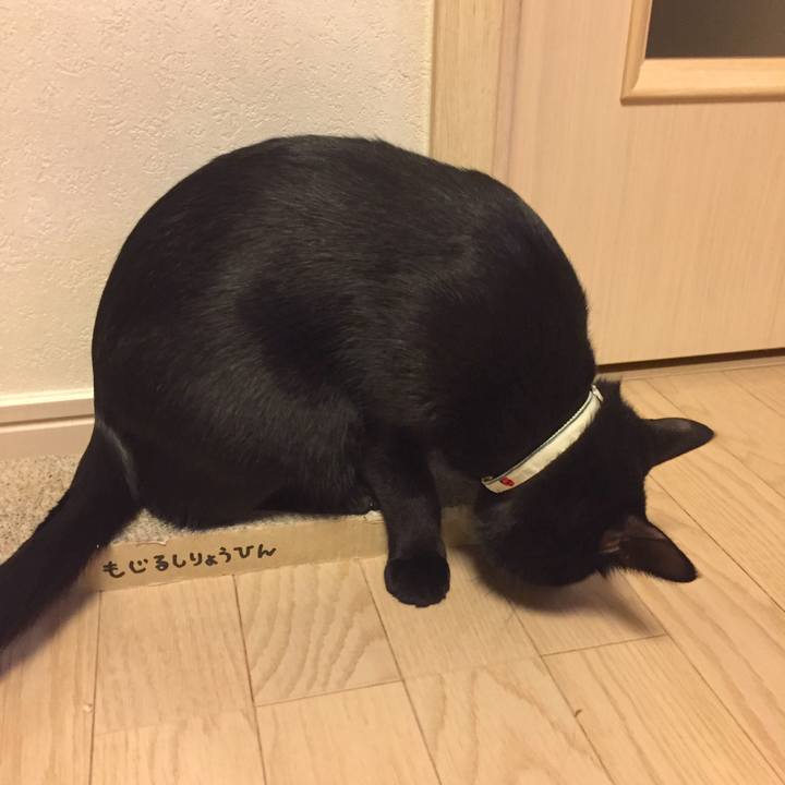 7048a080 dbfc 487d bb3a e8f3d3e8f792