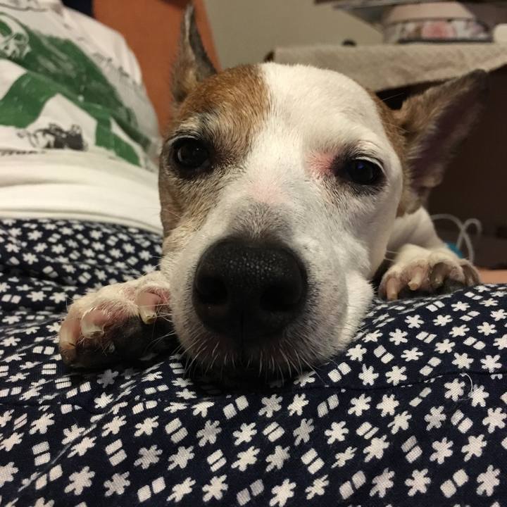 70496240 59ab 48c1 979a 4646fc6802d2