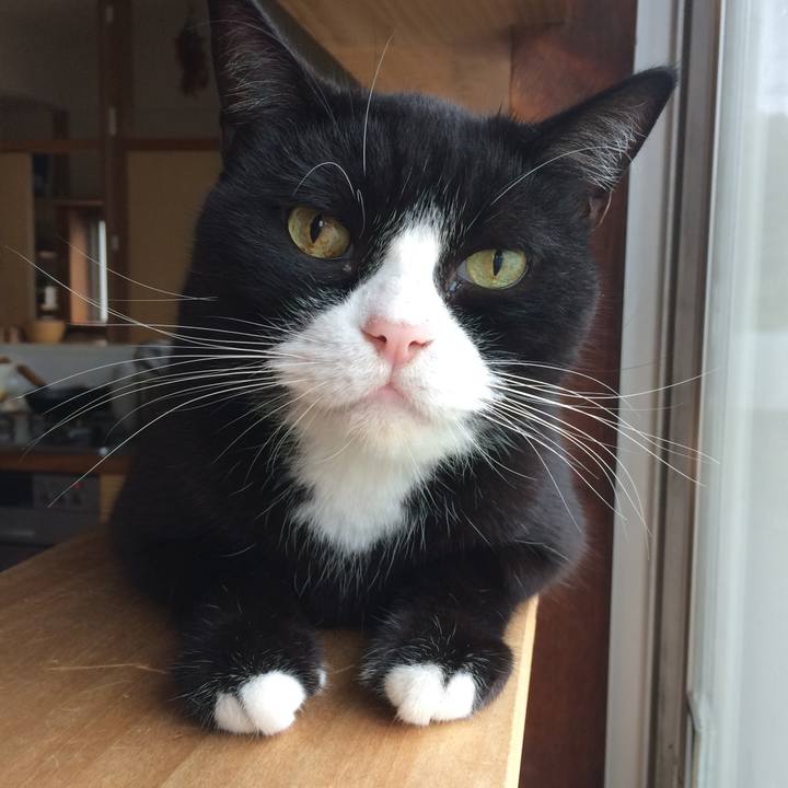 704a4346 3aa0 4a79 b2e8 2946086766b1