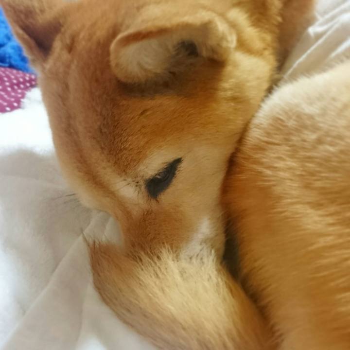 704a9268 380e 41d1 863b 4d99345f7aae