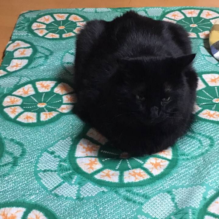 704aa344 27c3 4b0d b10d 78f4ed7cbf6b