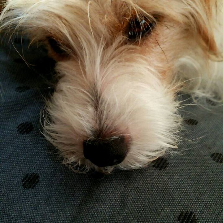 704b1d36 2b97 455b a777 419caf723bd3