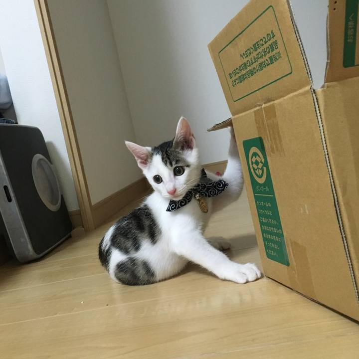 704b9f4c 1bdf 49e5 84a7 5d5c59d5177e