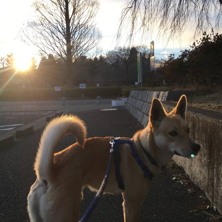 704bd5d8 f0ed 4b25 9590 68251a81305a