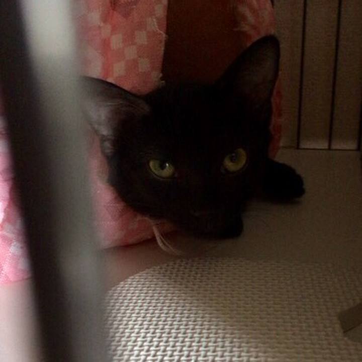 704c87cf 23c9 401b b8d3 287e43312649