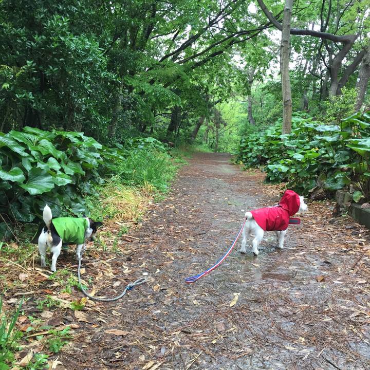 704d00e6 0dae 4d66 9b89 357e88f81e61