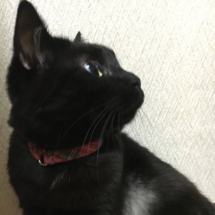 704d04f9 3388 48bb 864b 3582d0523678