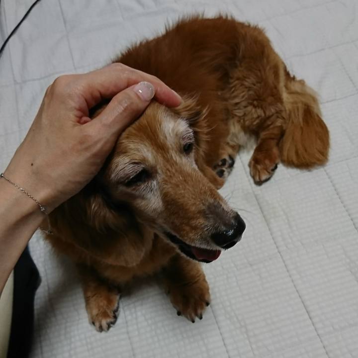 704d973b 1f84 40ed ad3f 2d5b5ff365d0