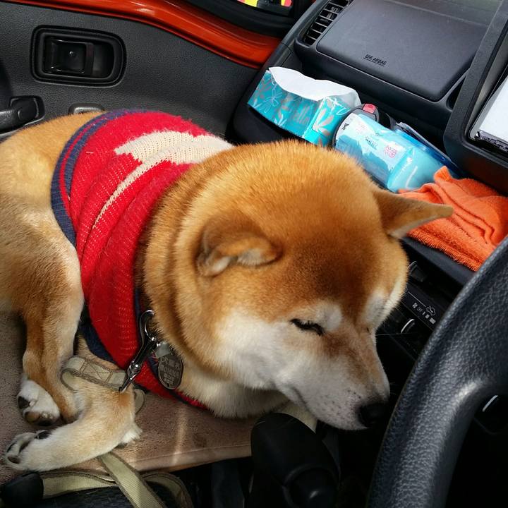 704dff7f ceb2 4ccd ade7 3e0a75b1e65c