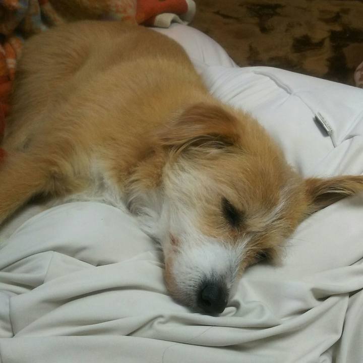 704e527f 4ffb 4e0b 95e2 bafa92d52ea4