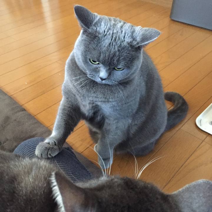 704ea3e8 ea2b 4e72 a933 d1de43cae48f