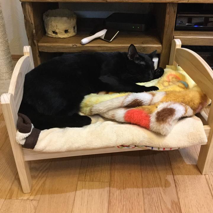 704ed52c 9229 45c7 9aa4 73d9290410e7