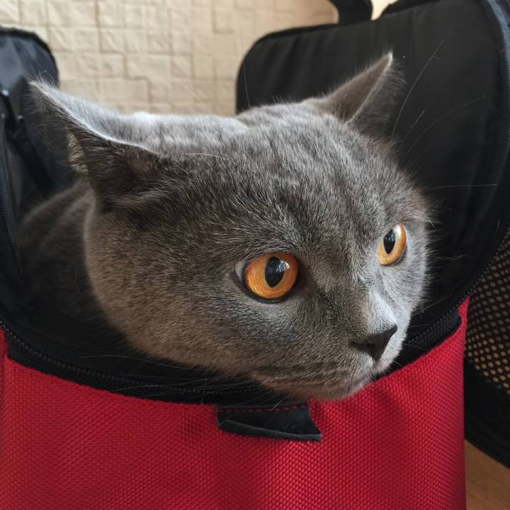 704ef3bb 2f6f 487c af89 aaf77d1ee15e