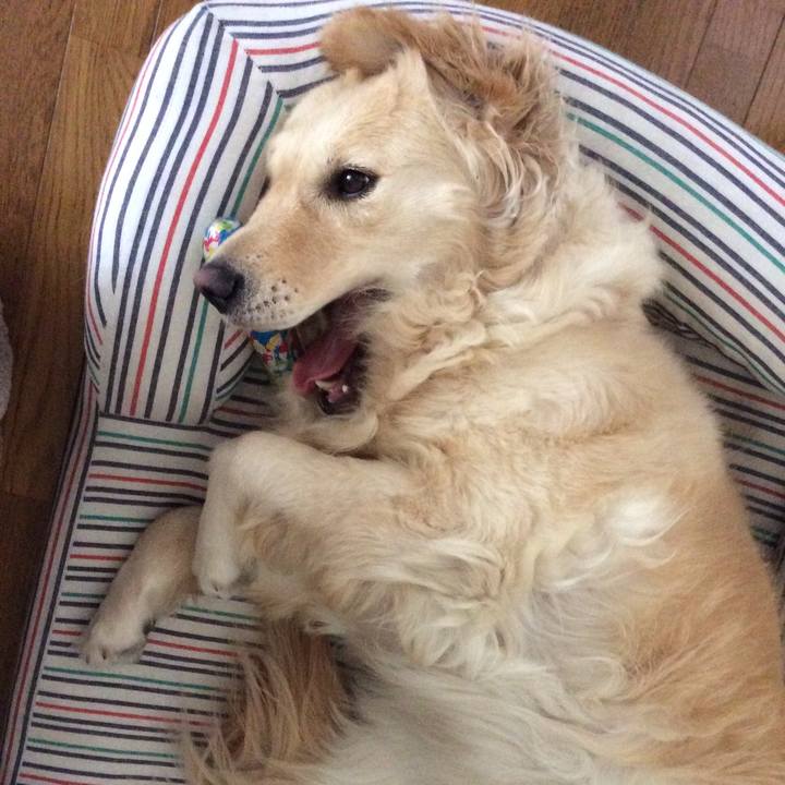 704f2eae 2fe0 4f28 bcb2 b4acec4e79b6