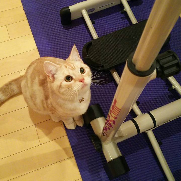 704f89c3 e349 464e b1f1 2c88a1c9fed2