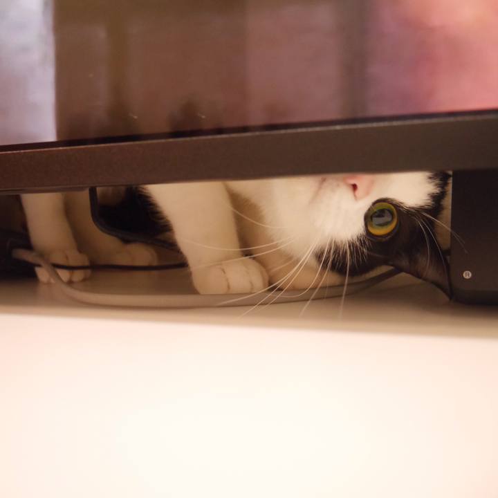 704f96e2 9b9c 48ce 8042 287c5472efdc