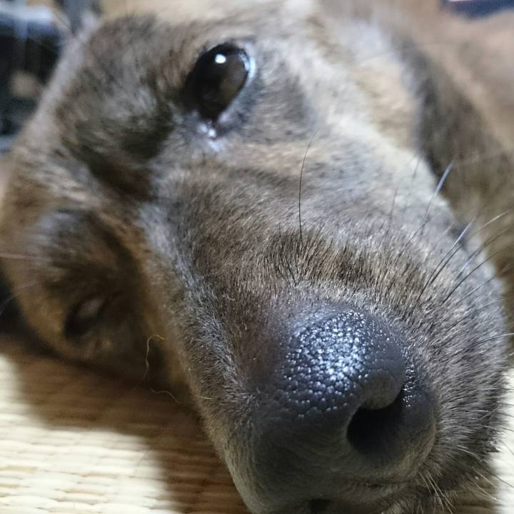 70505d5f ab73 4965 a126 3fd4efe72934