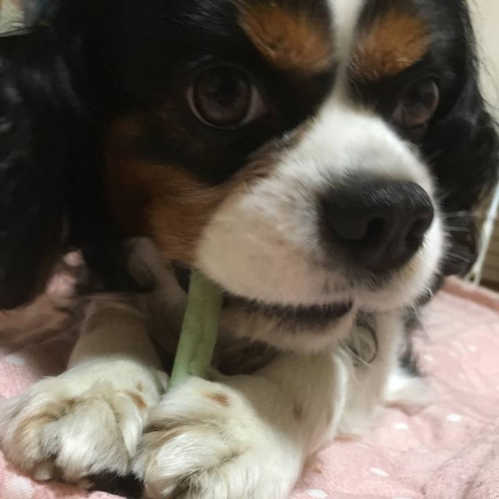 7050865d b40c 4393 a582 6bbac4d4028a