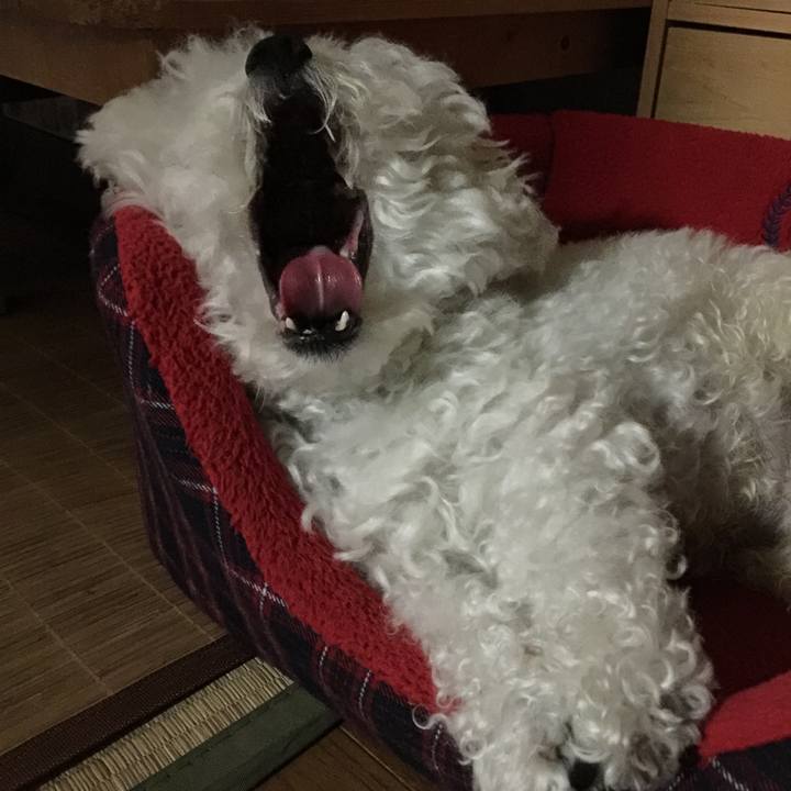 7050c3ed d3e0 47a1 8e29 6b3ce6f1551e