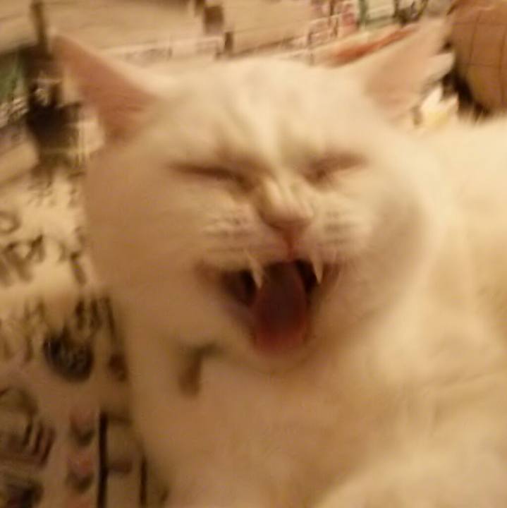 7050e3d5 eea5 434c a078 b3349f003229