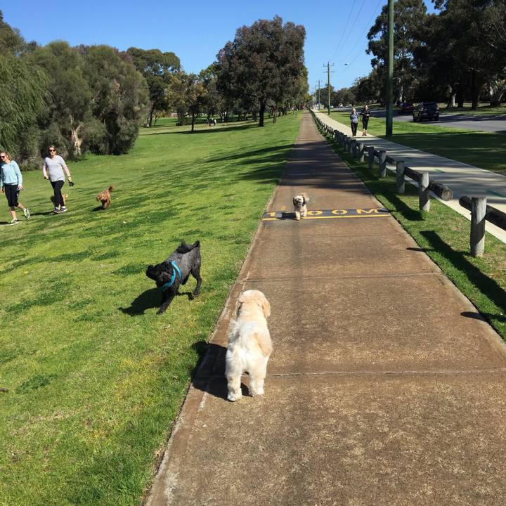 7051bdf8 e238 4acb a03e 302d2d48061c