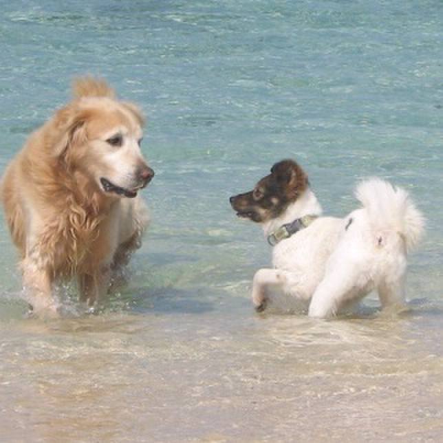 7051c756 31ed 49d5 976f 0a22549a703e