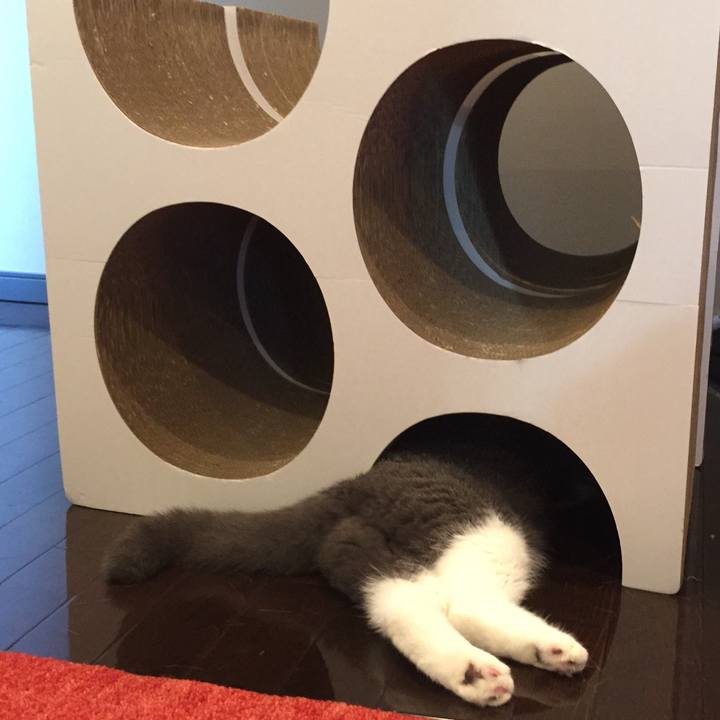 705208a9 69d3 4423 a288 409233b6dbd8