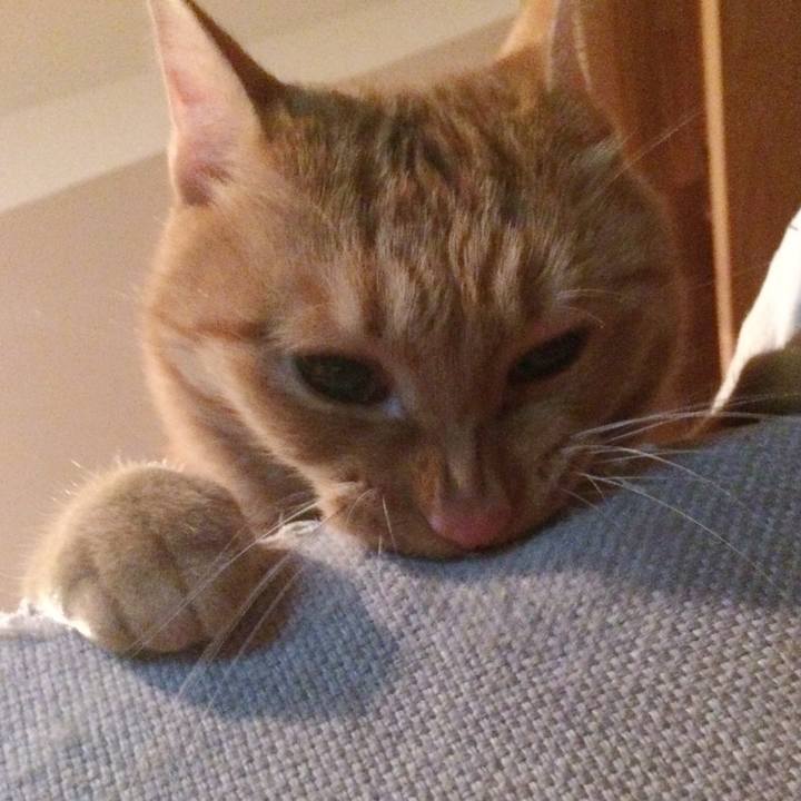 70522c09 3681 4b71 a481 d2e8b7209cbf