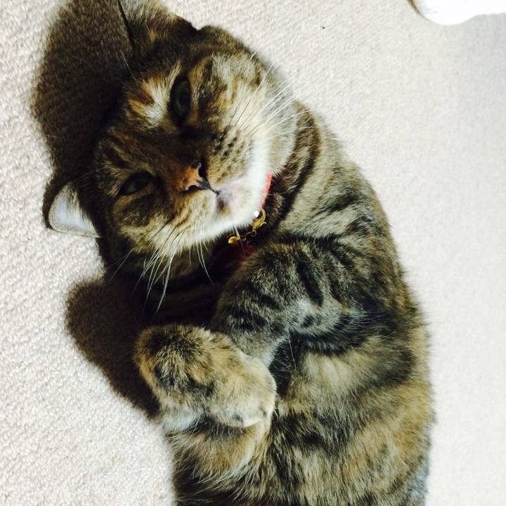 70525d1e 0f76 4c63 821c 93e27469ff5d