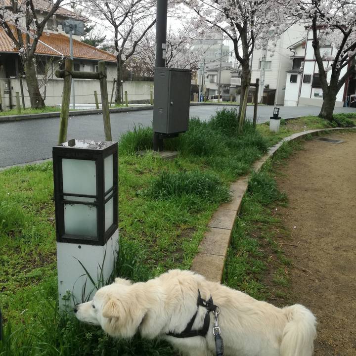 70527cf2 ef10 4d71 a050 6038a7c2f528