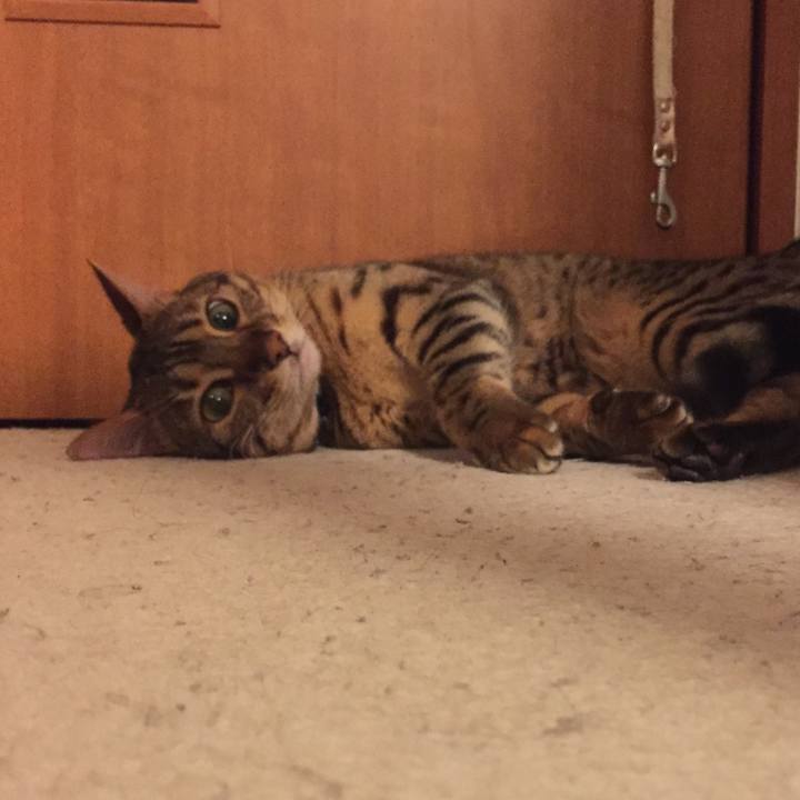 705282ea 3627 4a72 8dd8 9ffca0173fa0