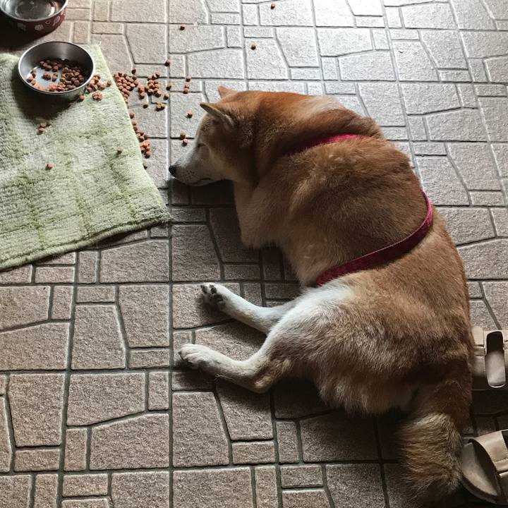 7052ce9d 8fd3 4d4e 8bde c6c0b9edd539