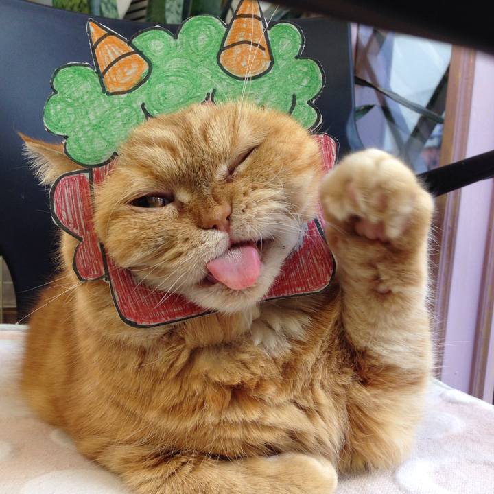 7053d8e5 958c 4ed6 94e4 49563642e3b6