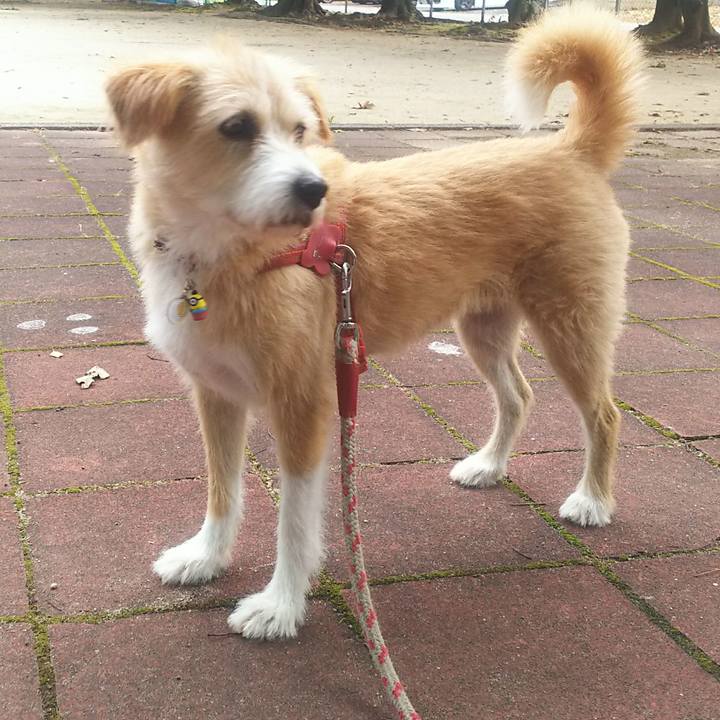 7054bc8d ef80 4684 be31 f1e46a90313a