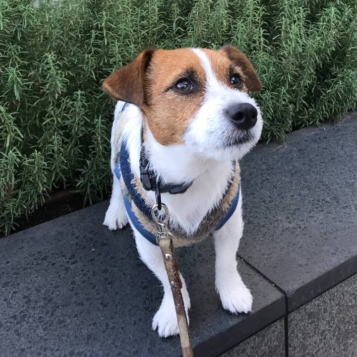 7054dc38 851e 4bac 973a ce2245ab98ef