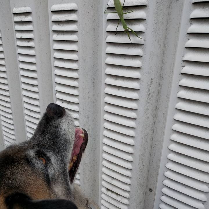 7055378c ddf7 448d 9873 63a8c7e39665