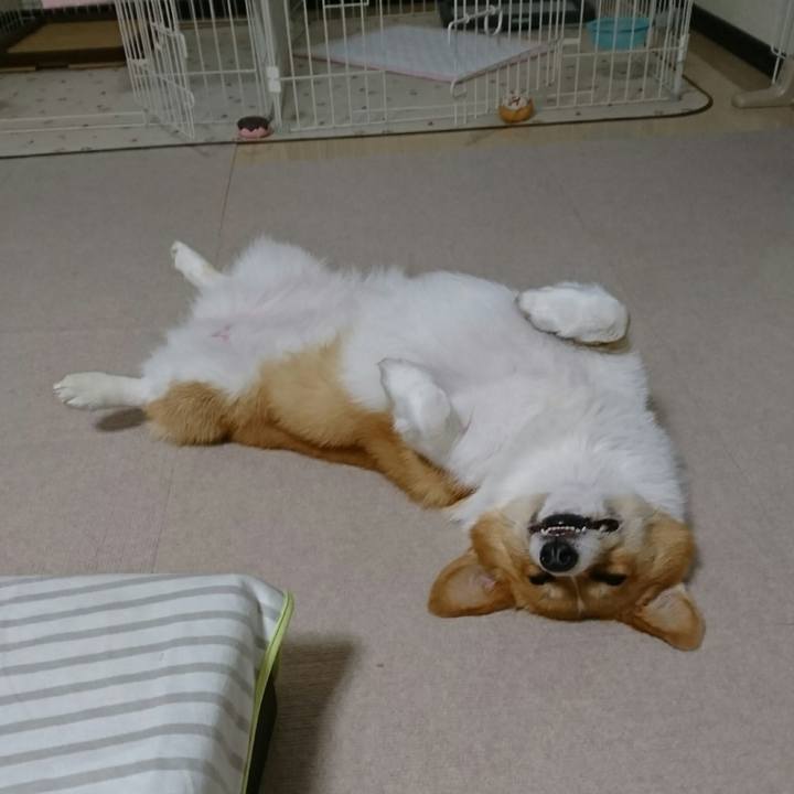 7055eaf6 7f66 40e6 a91f 3a91ae1524fd