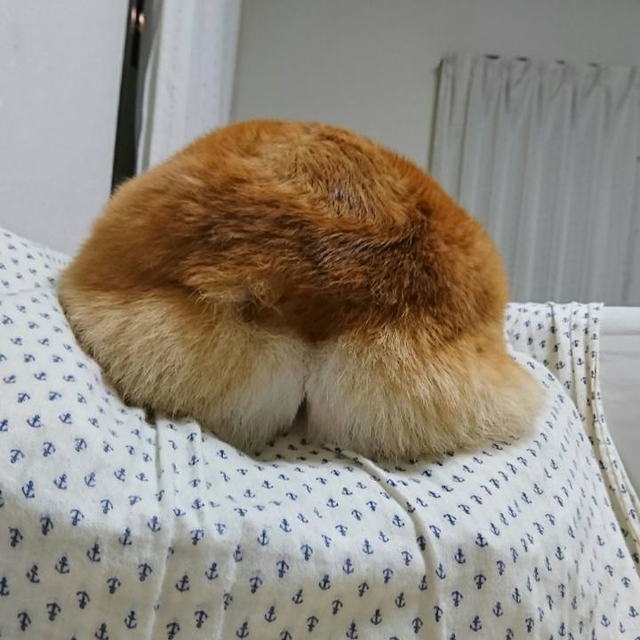 7056435e 41e7 4cce 8444 7f55269cfa20