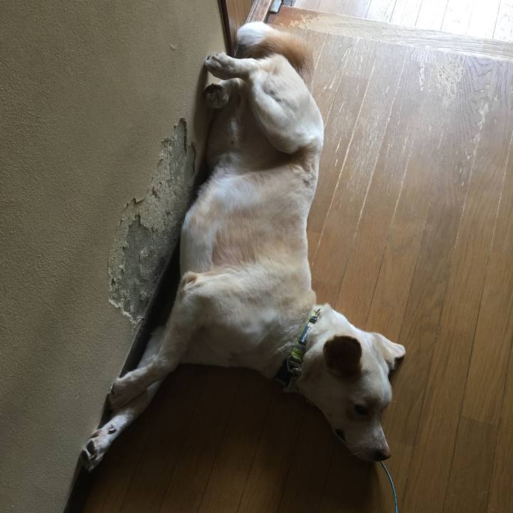 7056bc0b b930 4599 8799 02b1bbd772e3