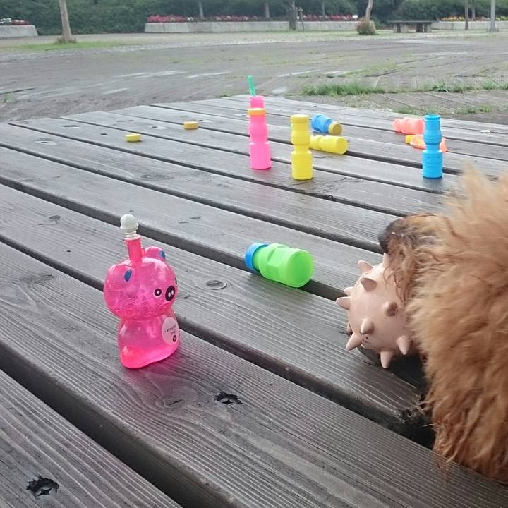 7056e900 3a24 4086 b13f ca5b5e1ff348