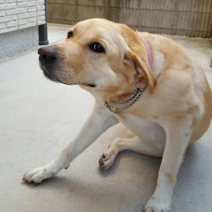 705709ed bb6d 4a2a b4e0 14486206d540