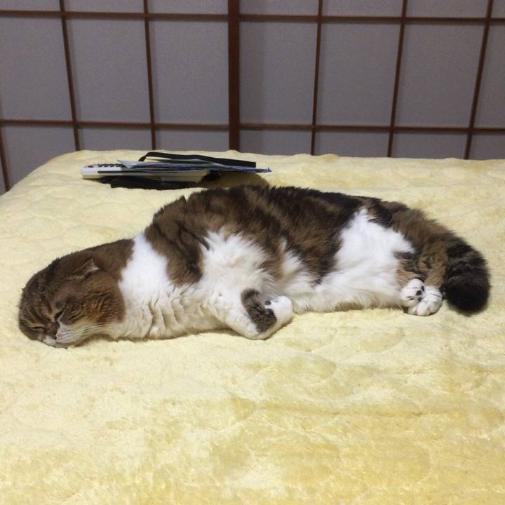 70571dc3 a232 49cb 907b 8974c5918712