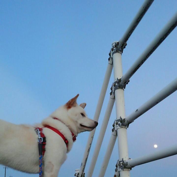 70577335 2a14 4840 adb8 e18838b38050