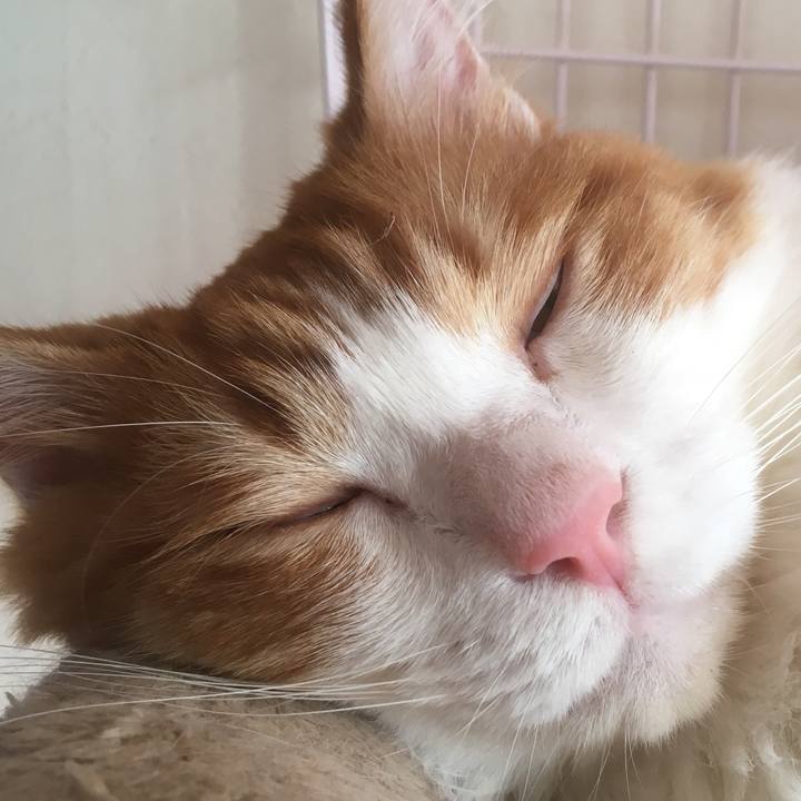 7057e23a 6c21 43f5 ba18 f03a6e995755